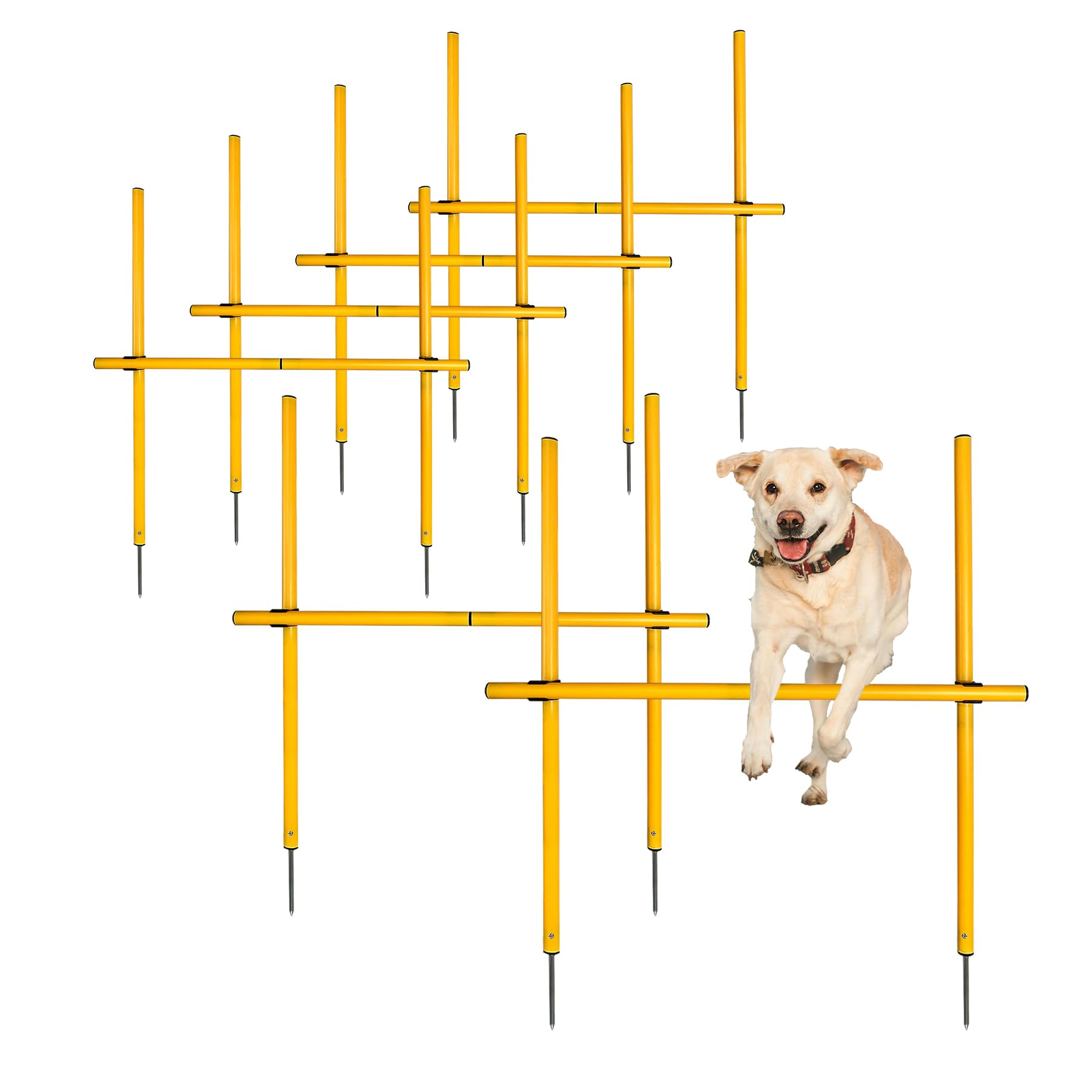 TNZMART parcours agility chien – poteaux ondulés pour entraînement ciblé