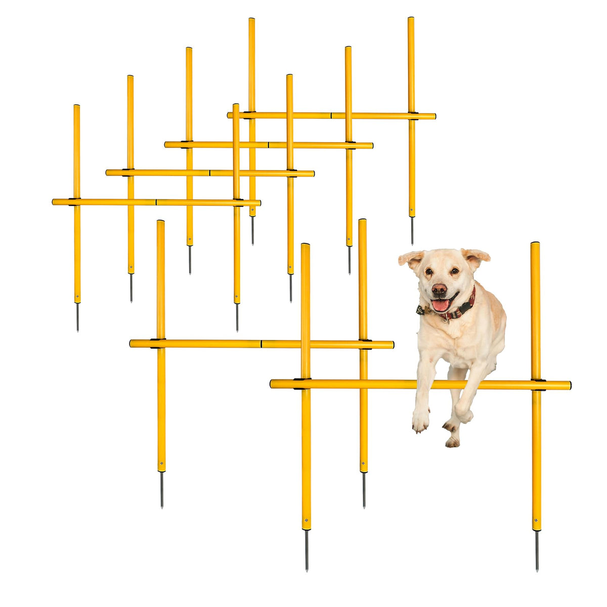TNZMART parcours agility chien – poteaux ondulés pour entraînement ciblé