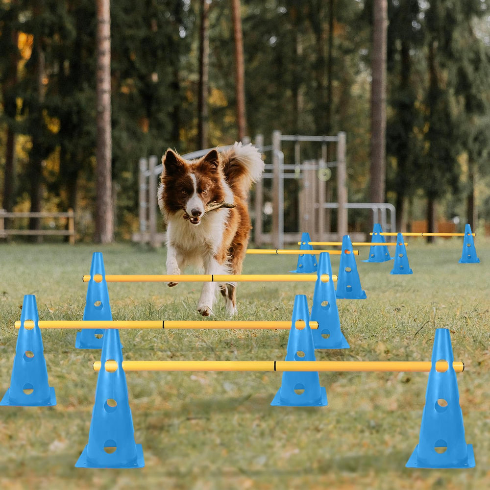 TNZMART perches d'agilité bleues à hauteur ajustable pour progression canine