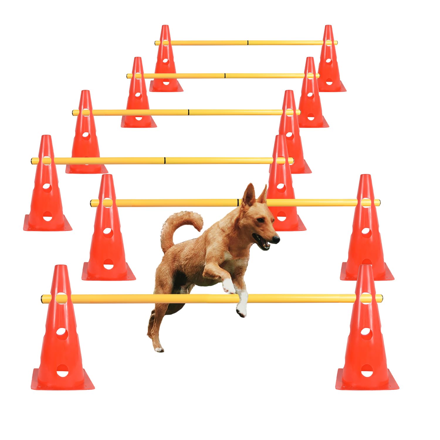 TNZMART set obstacles chien: cônes colorés pour entraînement à domicile.