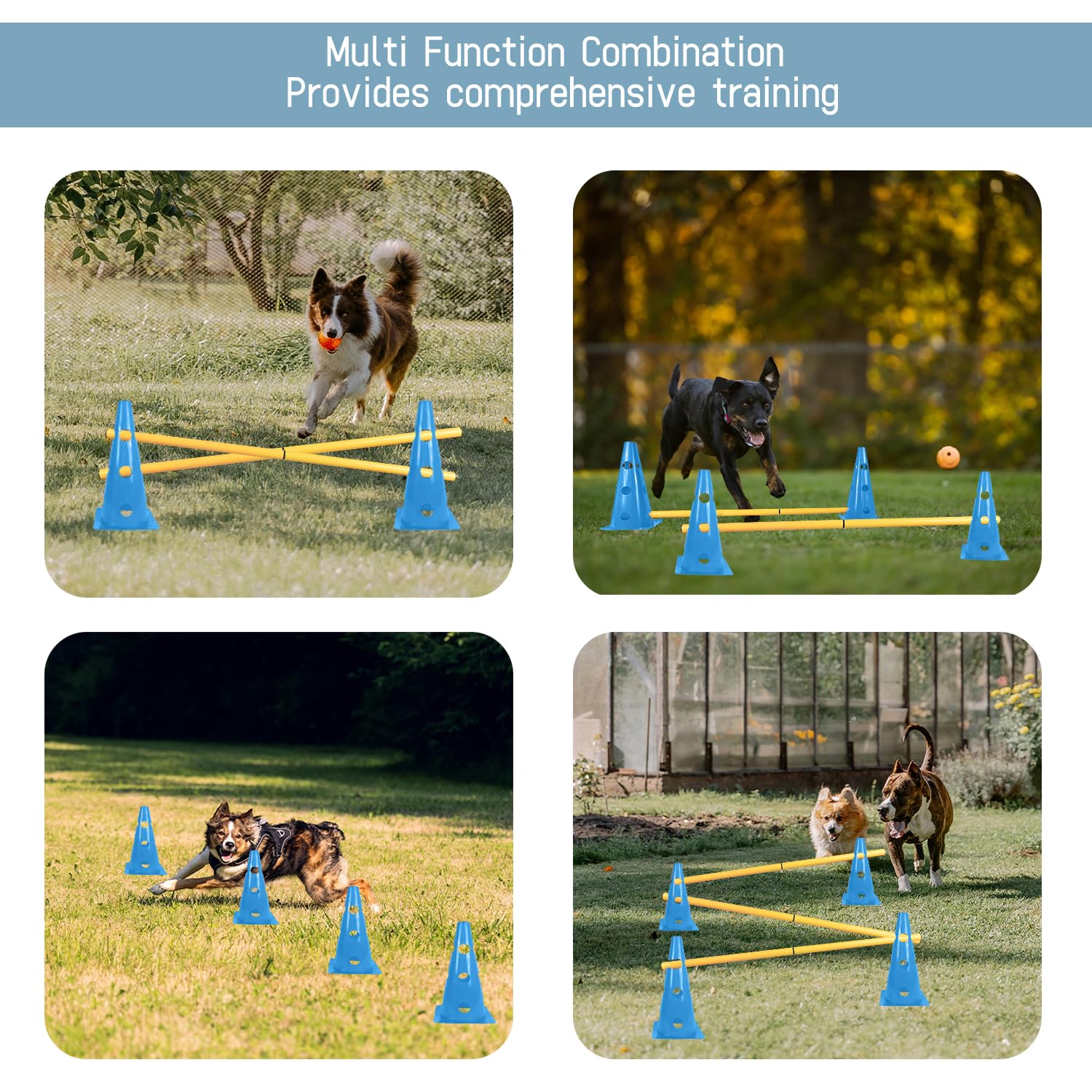 TNZMART usage intérieur et extérieur pour exercices canins variés