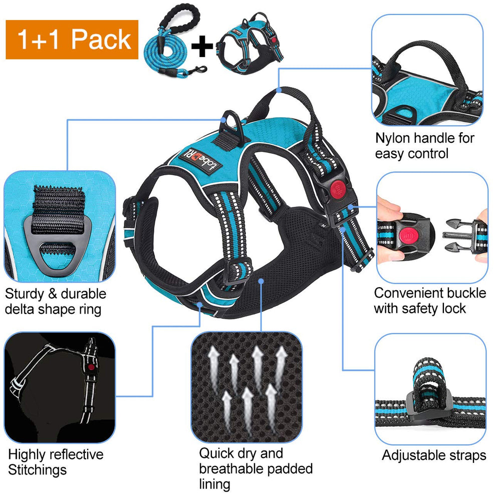 tobeDRI harnais bleu utilisation marche et exercice confortable
