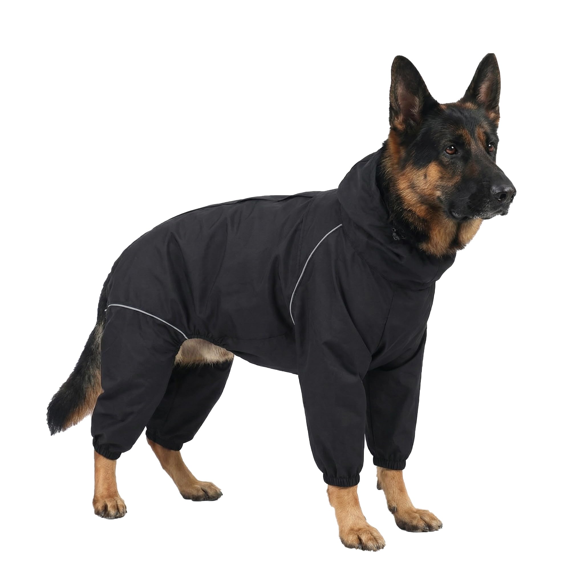 TOBOSS imperméable chien moyen-avant: protection pluie lors des promenades.