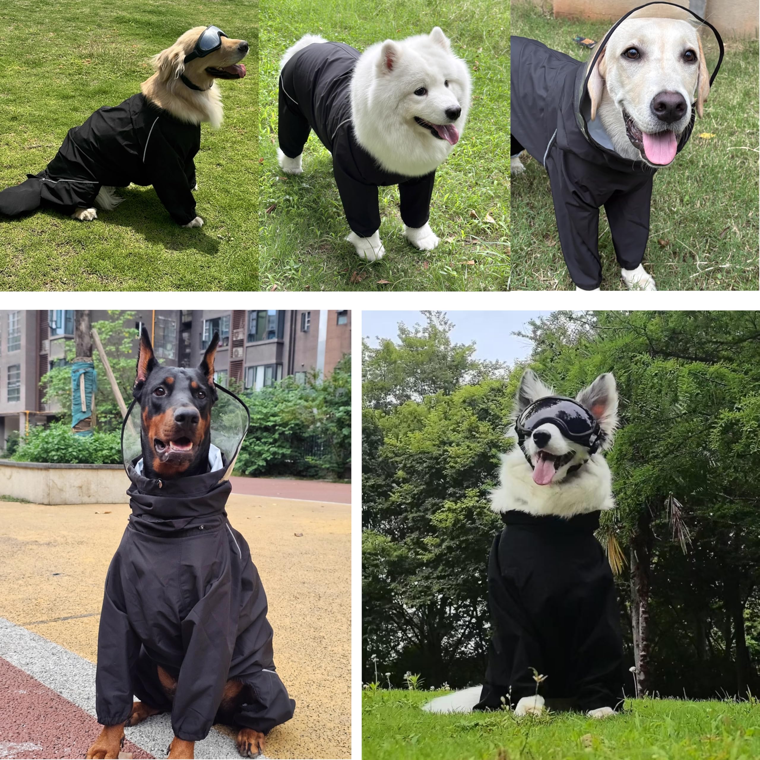 TOBOSS imperméable-chien-moyen-fermeture-eclair-haute: habillage sans accroche.