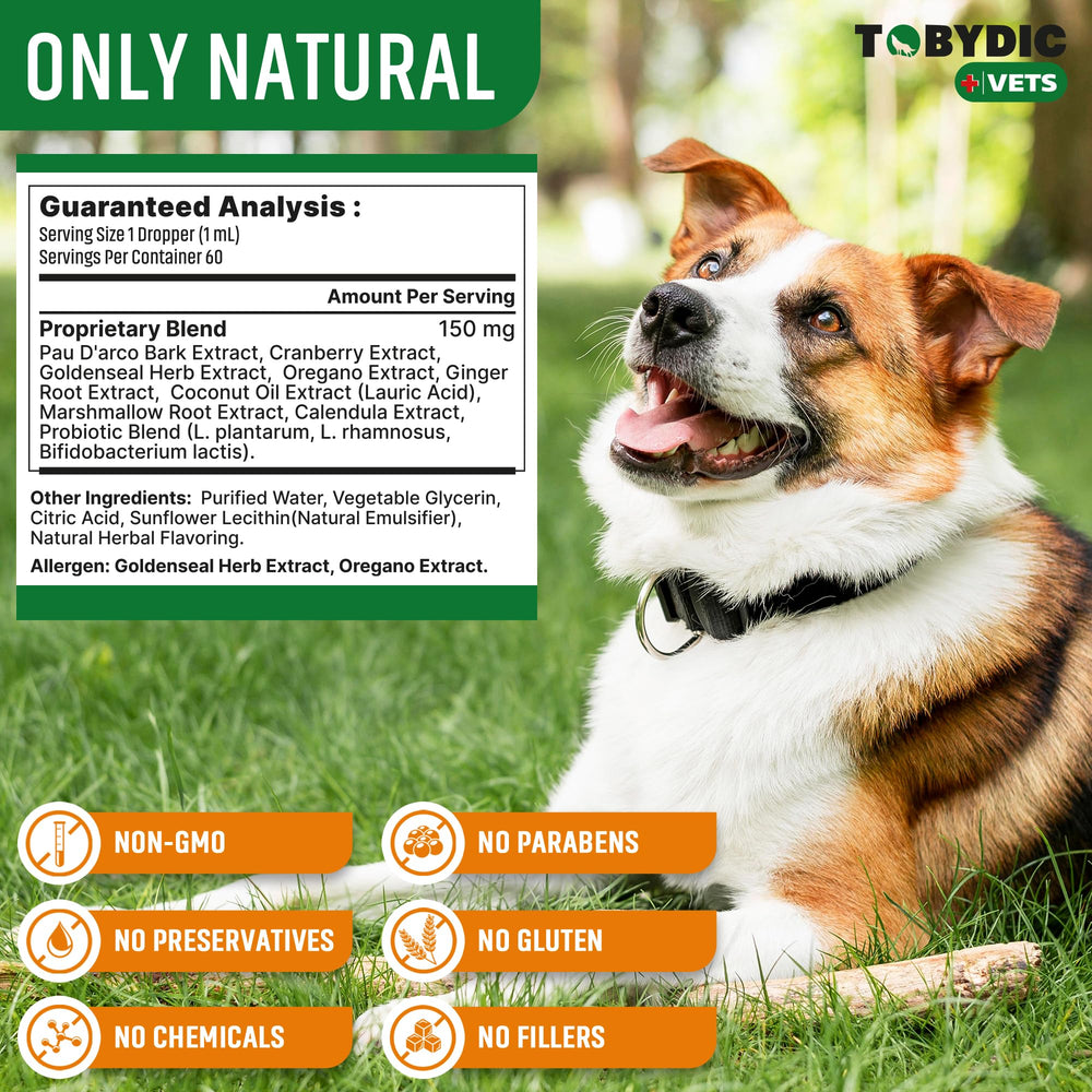 Usage quotidien Tobydic pour le bien‑être des oreilles et de la peau du chien.