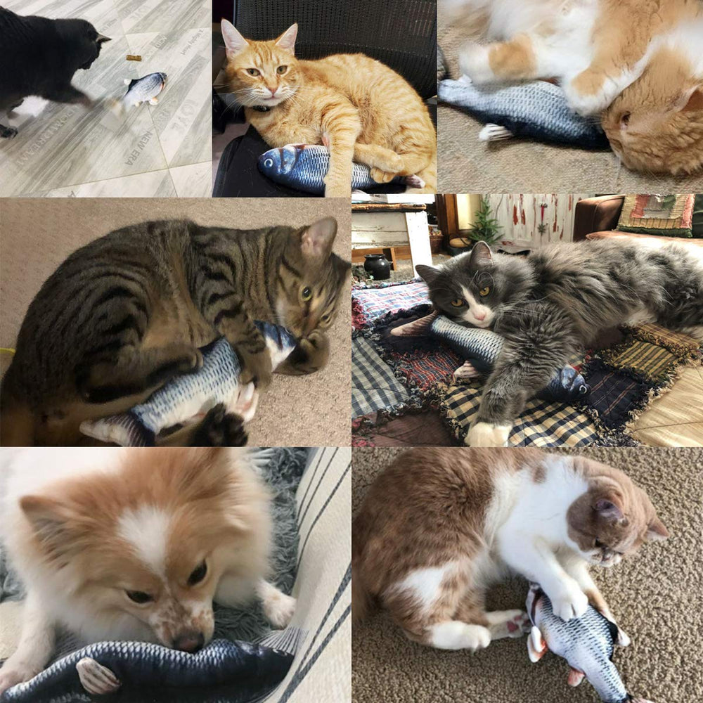 Jouet Tocirelo pour chat intérieur, mouvement réaliste et divertissant