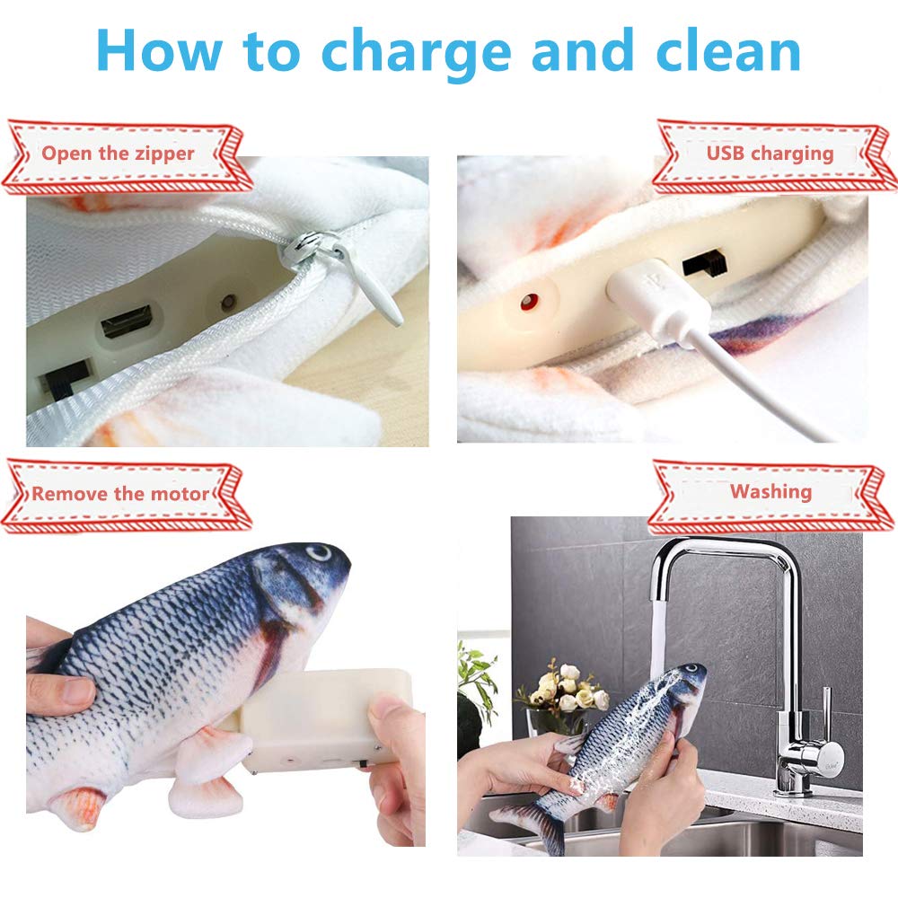 Moteur détachable du poisson Tocirelo, nettoyage facilité