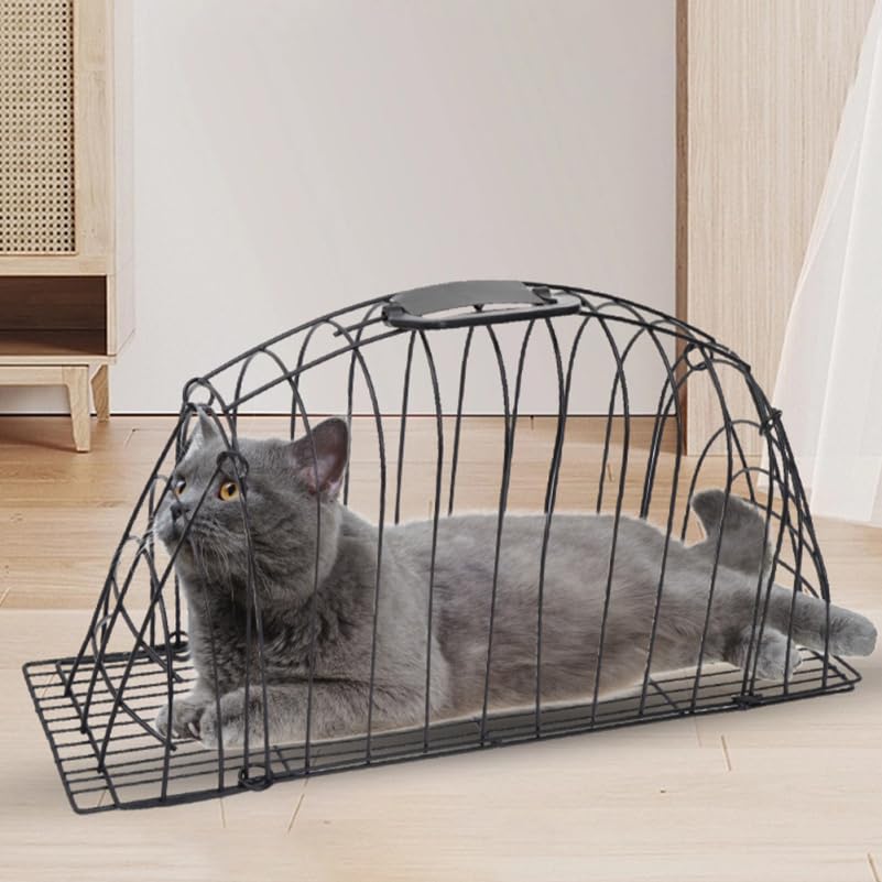 Toddmomy cage-chat maille respirante, drainage efficace et séchage rapide.