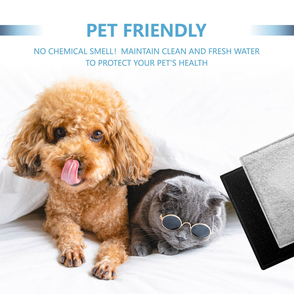 TOGGATH filtre charbon chat Current Pet, filtration douce