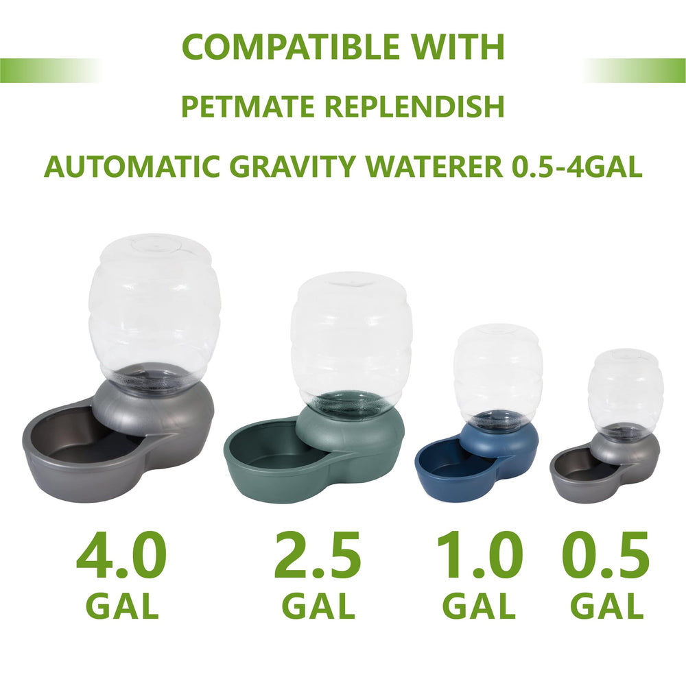 TOGGATH filtre de remplacement pour fontaine Mason Replendish : installation simple.