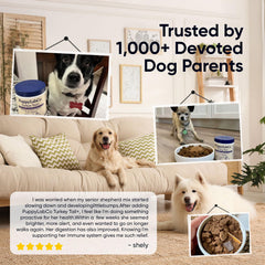 TOGOLIUN Puppylabco probiotiques digestion: soutien digestif potentielle