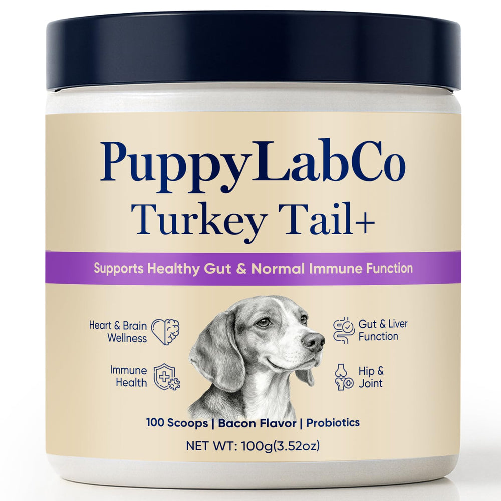 TOGOLIUN Puppylabco tramète-versicolore chien, bouteille: soutien potentiel du microbiome