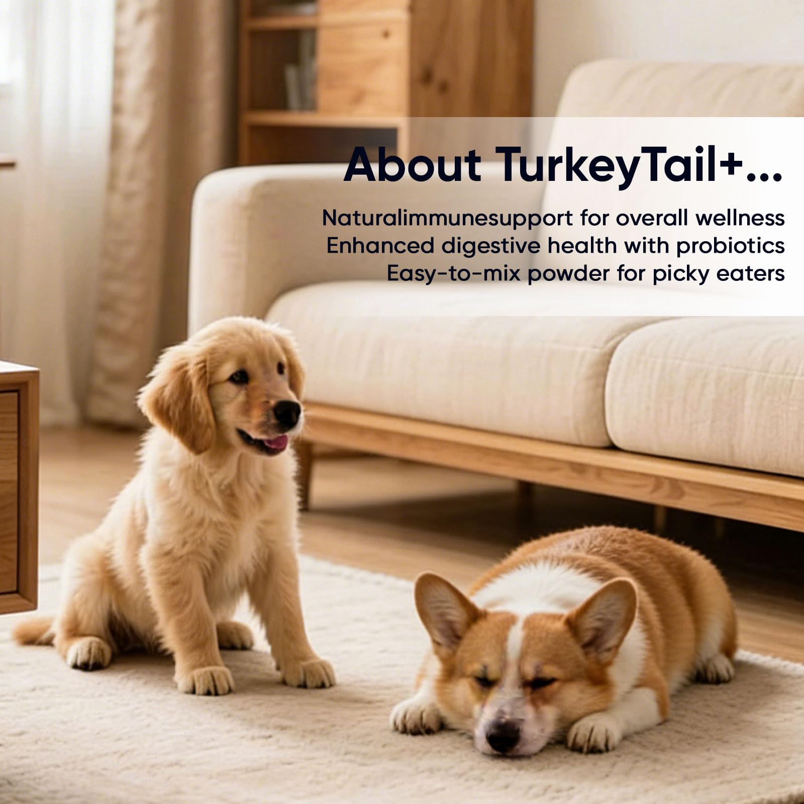 TOGOLIUN Puppylabco dosage quotidien: usage simple sur nourriture
