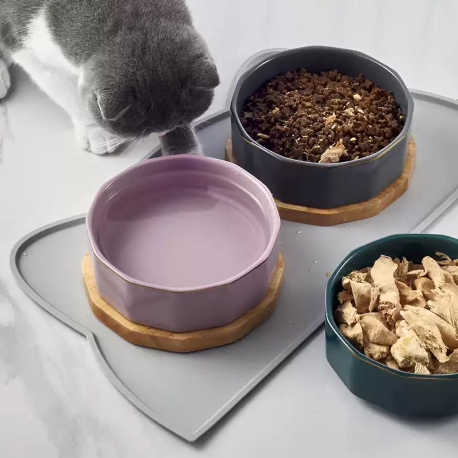 TOKAYIFE Tapis nourriture chat, dimensions 17x10 pouces.