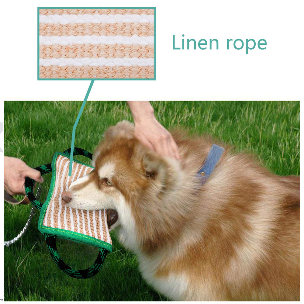 ToLanbbt sécurité et dressage: outil durable pour sessions de contrôle