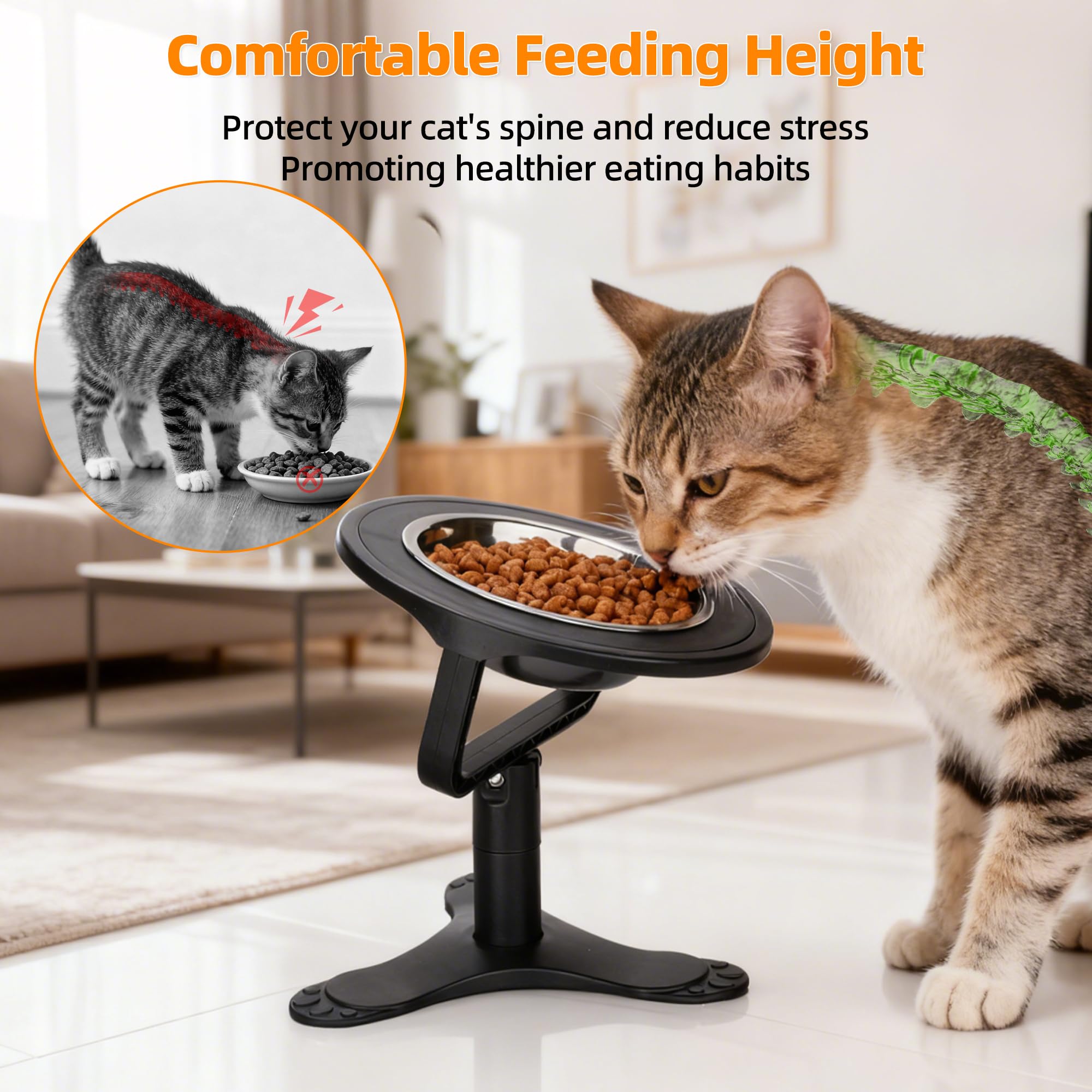 Tolopu bol élevé pour chat, hauteur 4 pouces, accès facilité.