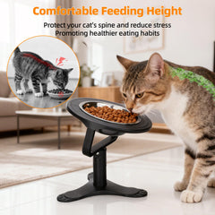 Tolopu bol élevé pour chat, hauteur 4 pouces, accès facilité.