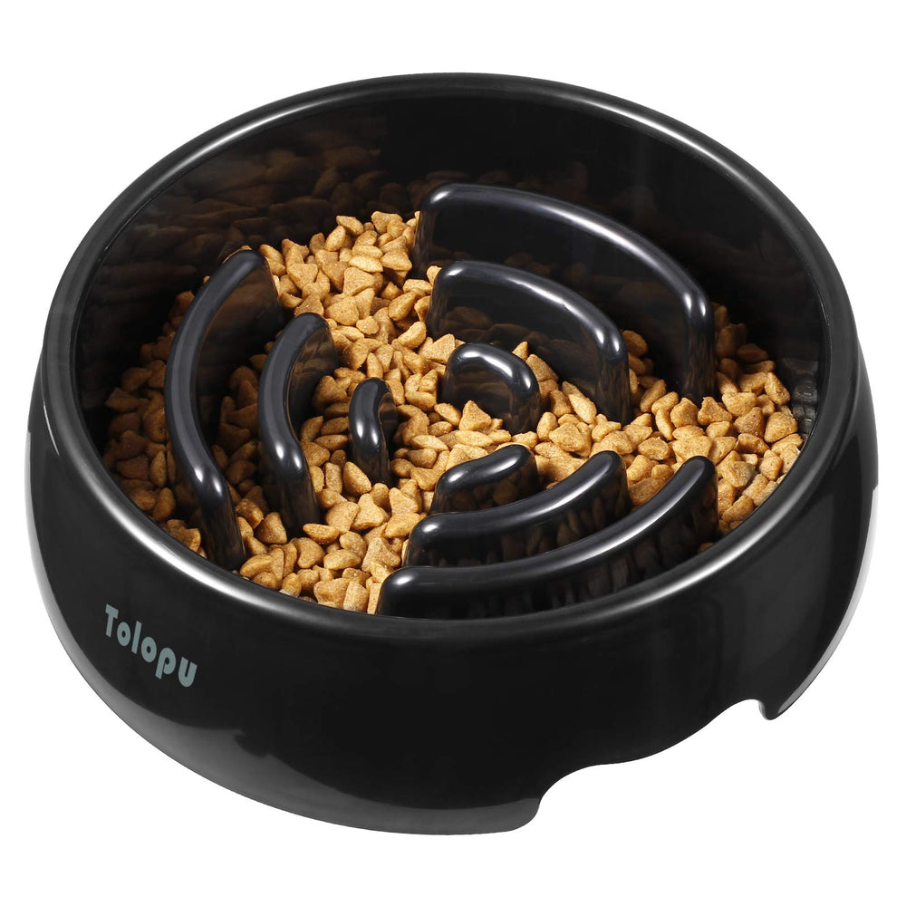 Tolopu bol lent pour chien, vue avant, ralentit l’ingestion pour une digestion plus douce.