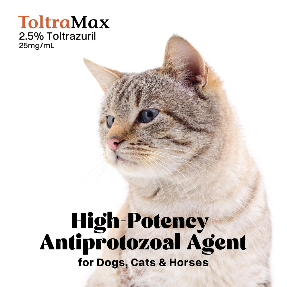 Emballage ToltraMax: informations claires et stockage facile.