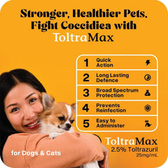 Solution orale ToltraMax facilitant l’administration des chats.