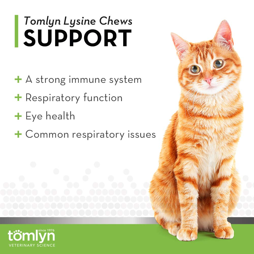 Friables saveur poisson Tomlyn Lysine pour chat