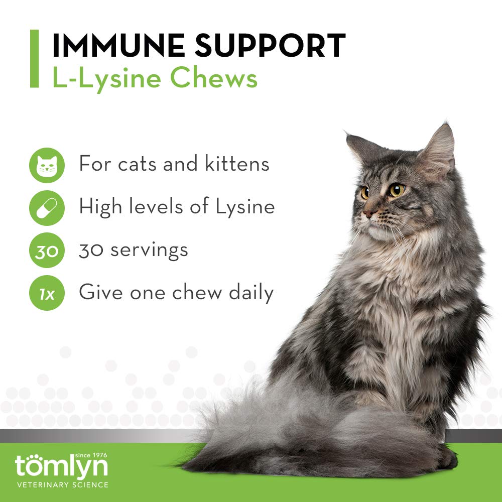 Soutien immunitaire et respiratoire pour chats