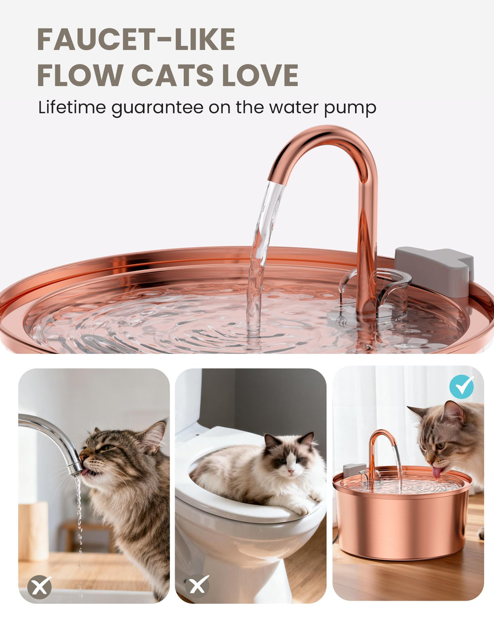 Tomxcute utilisation quotidienne facile favorise l'hydratation des animaux.