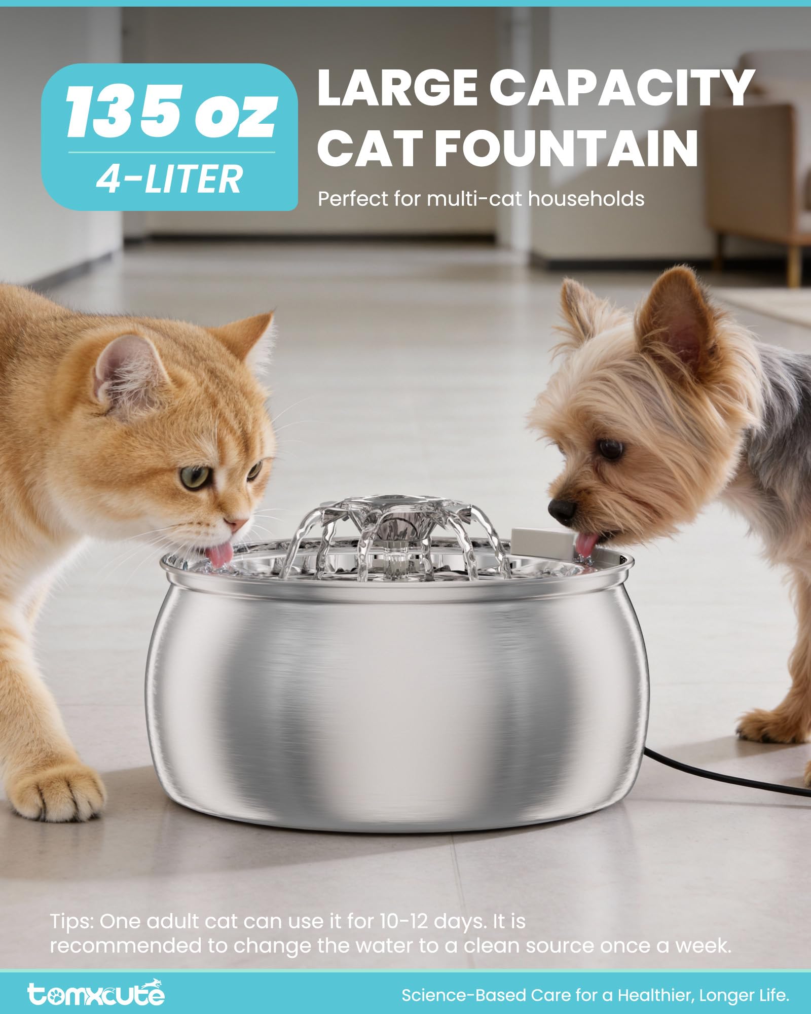 Tomxcute filtre de rechange inclus pour entretien facile.