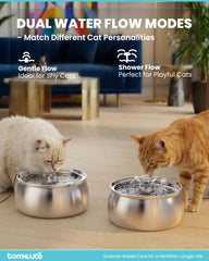 Tomxcute fontaine 4L, capacité suffisante pour plusieurs animaux.