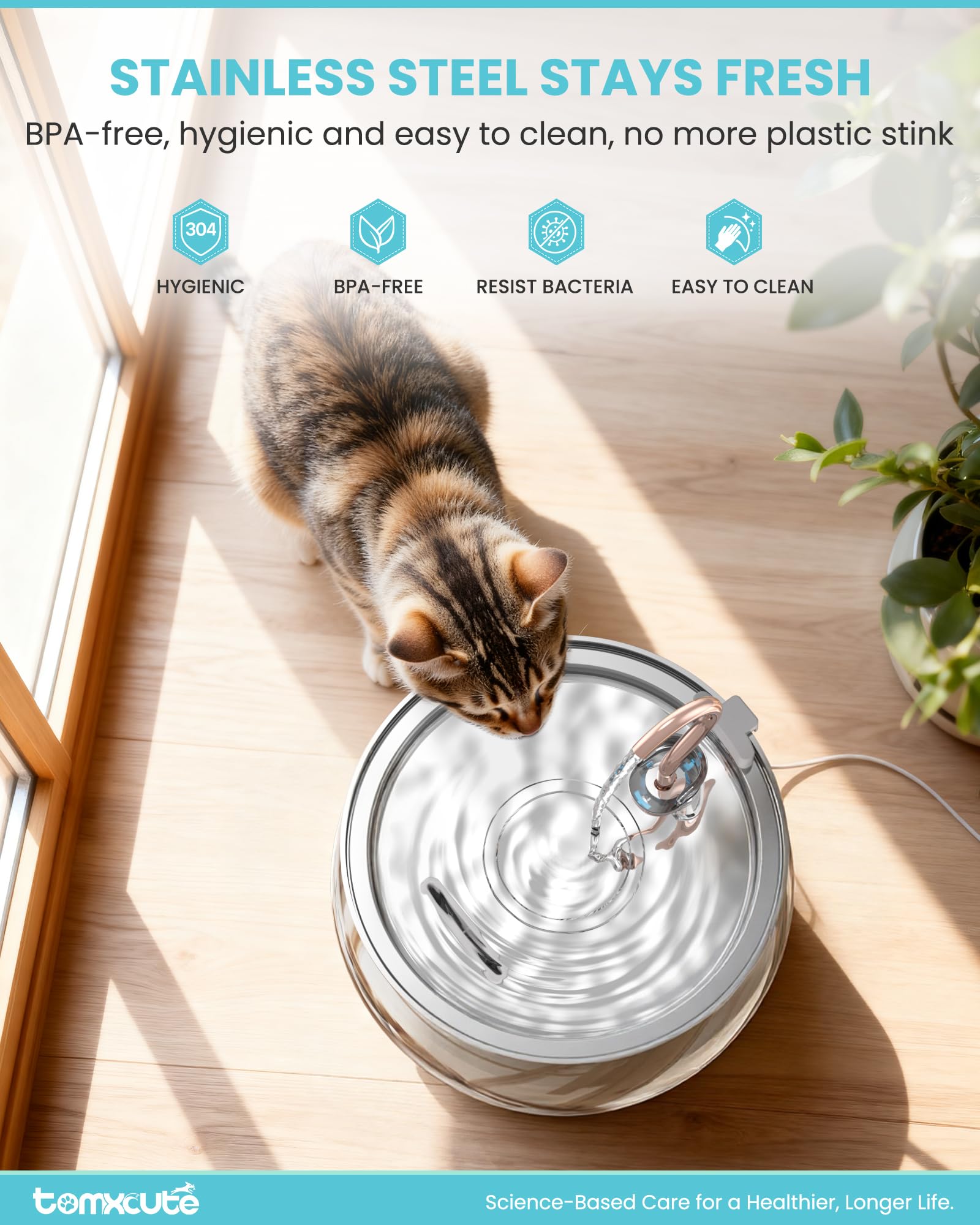 Tomxcute Fontaine chat – cuve inox 304, facile à nettoyer.