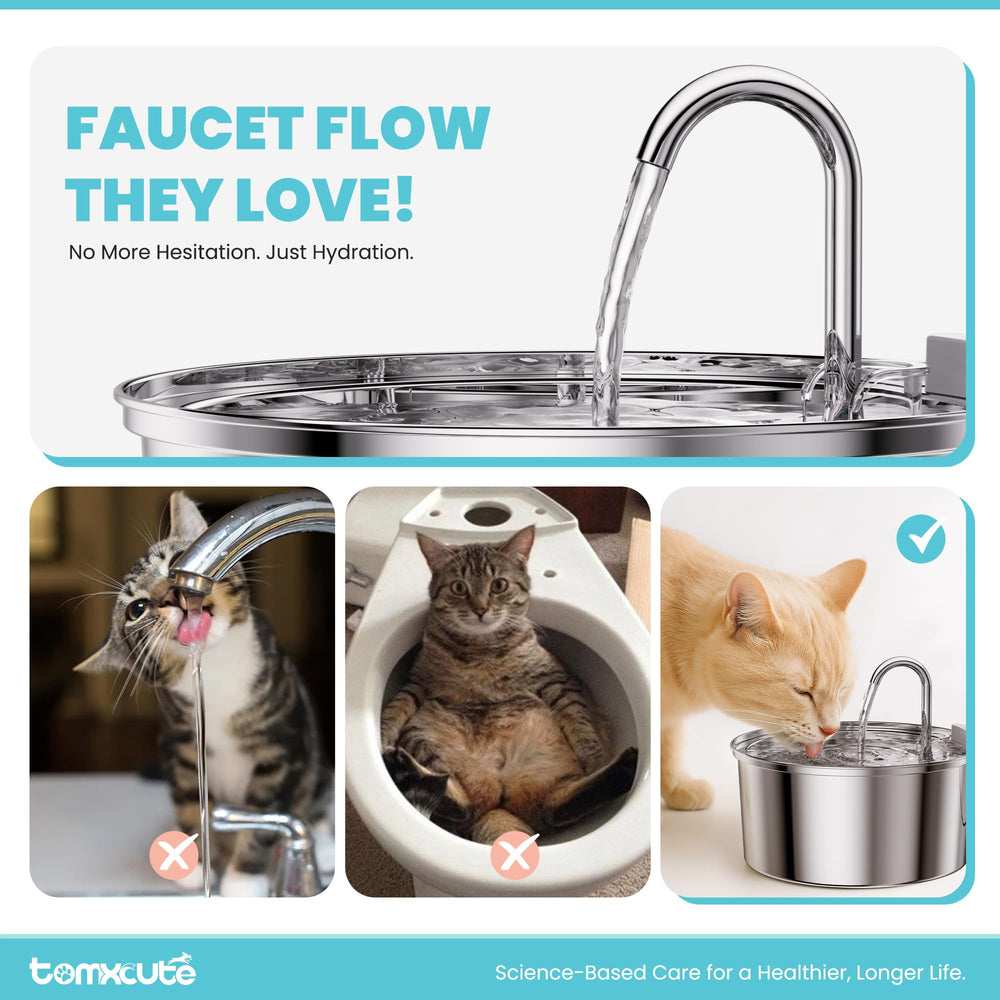 Tomxcute Hydratation Quotidienne Chat pour plusieurs animaux.