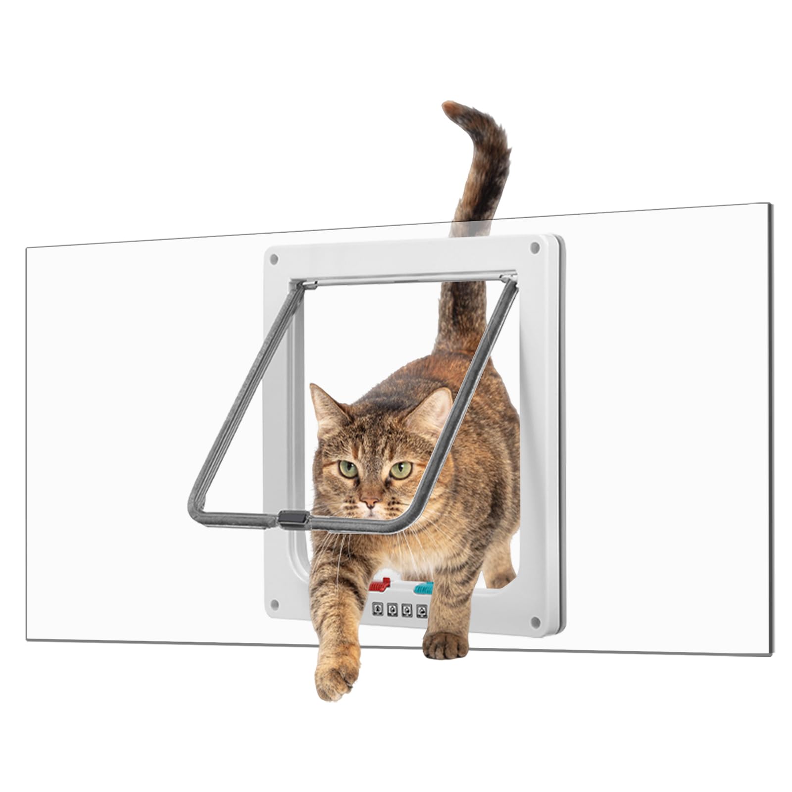 Porte-chat Tonho Dawnhawk en plexiglass clair avec vue dégagée et lumière naturelle.