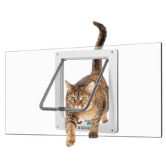Porte-chat Tonho Dawnhawk en plexiglass clair avec vue dégagée et lumière naturelle.