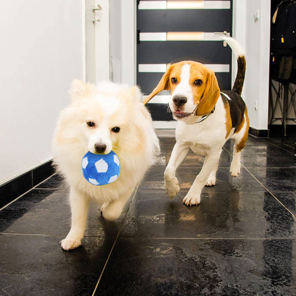 TONYFY cadeau idéal pour anniversaire de chien, moment ludique.