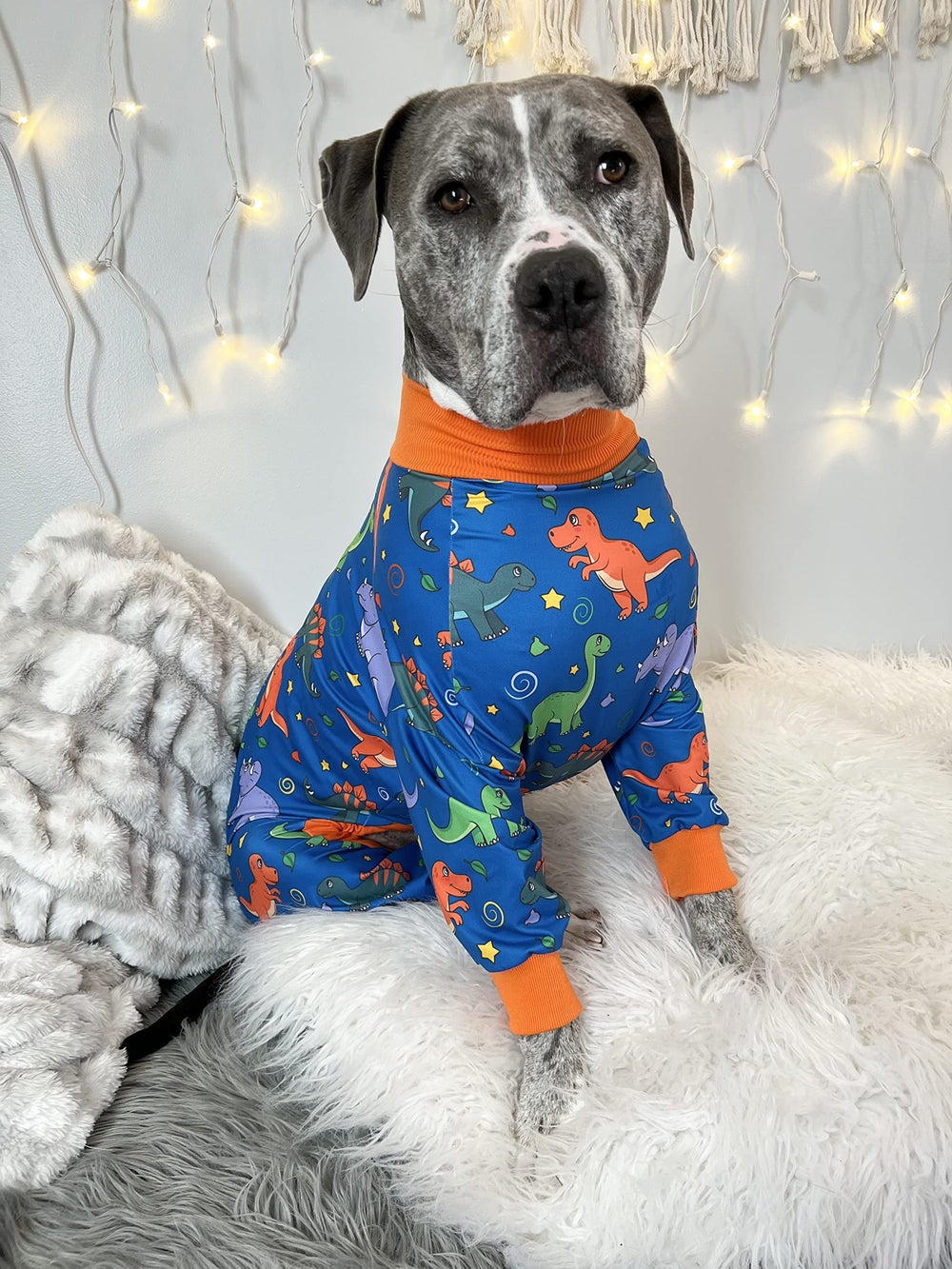Tooth & Honey couverture pyjama dinosaure: parfait pour couchage et repos