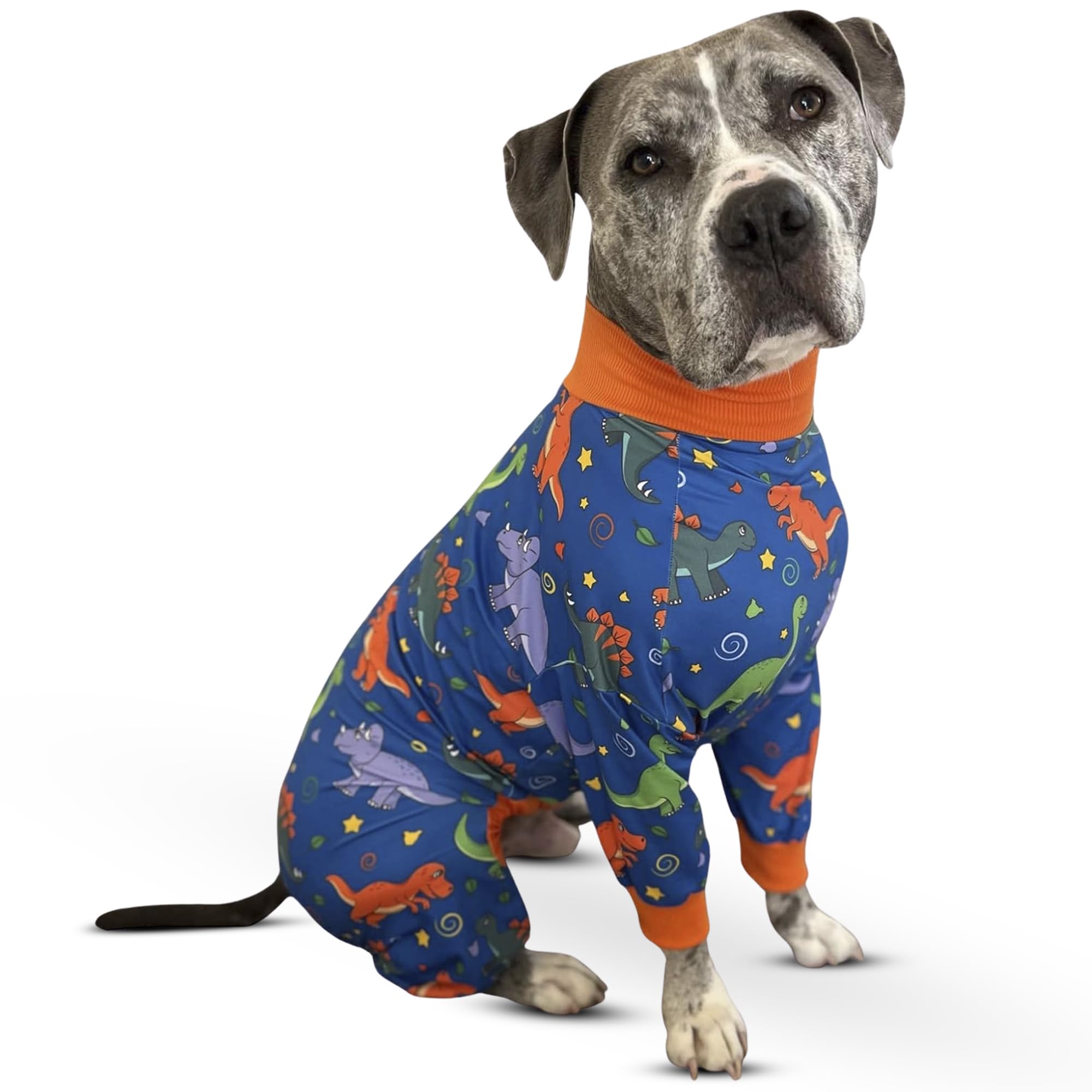 Tooth & Honey dinosaure pyjama chien visage: douceur et confort pour câlins