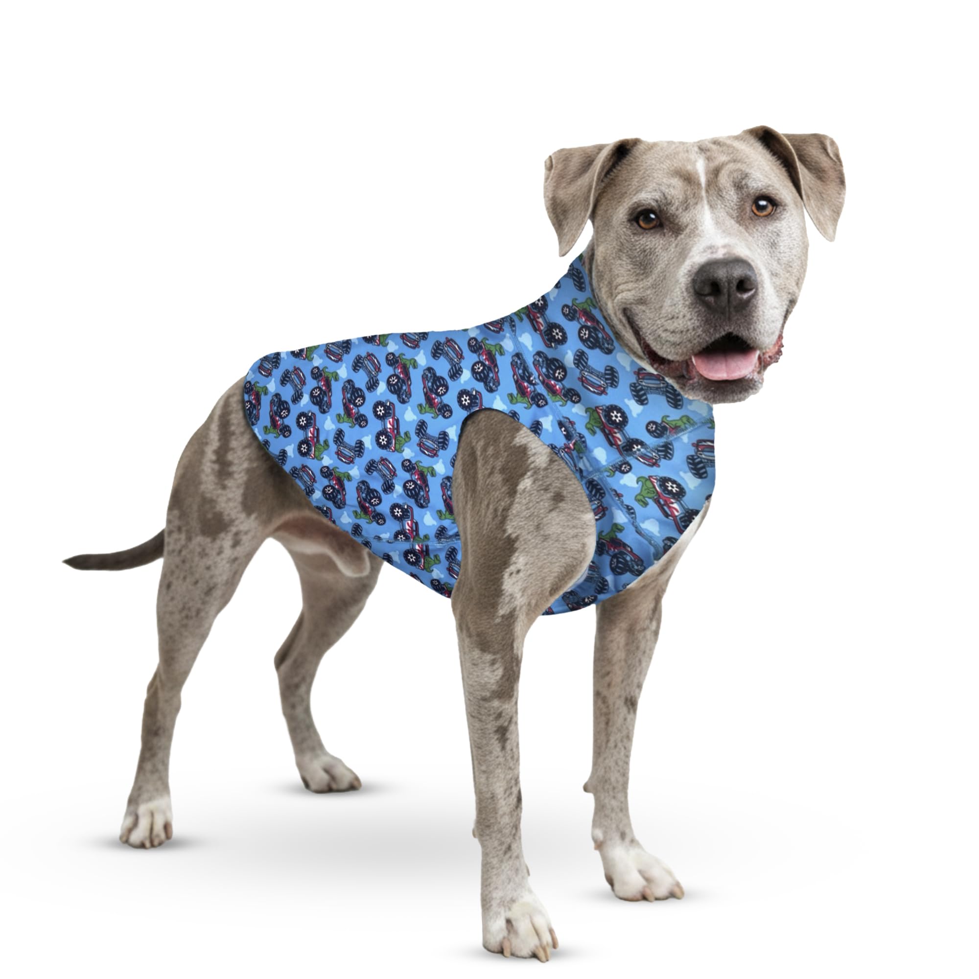 Tooth & Honey gilet chien grand taille – ajustement confortable.