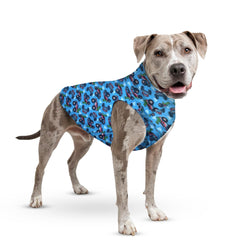Tooth & Honey gilet chien grand taille – ajustement confortable.