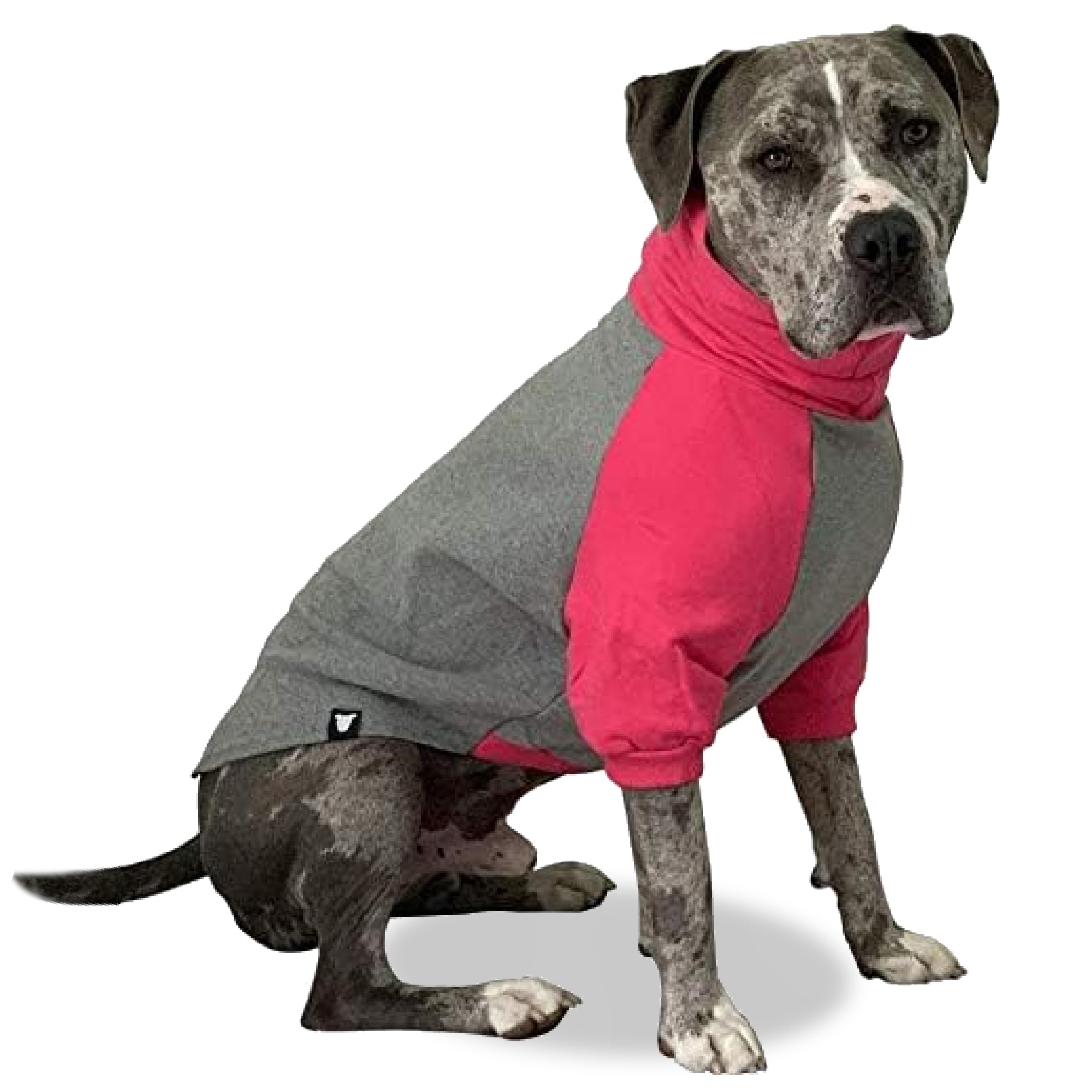 Pull Tooth & Honey pour chien grand en rose et gris, confort chaud pour les sorties.