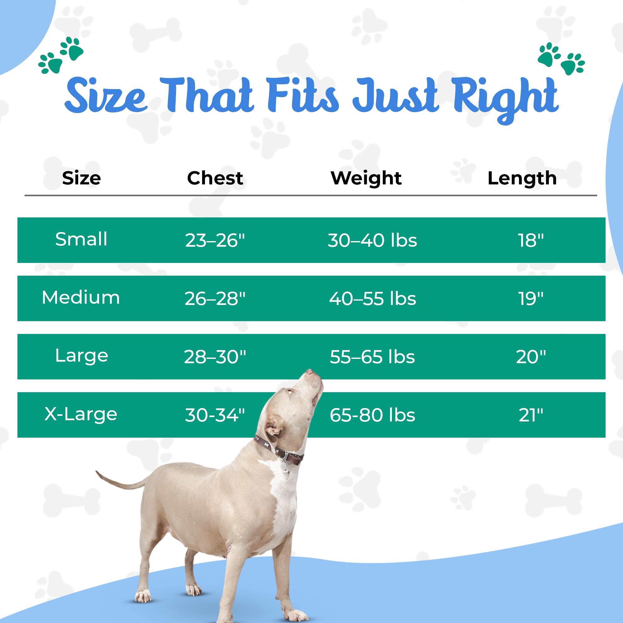 Tooth & Honey testée sur chiens rescue – qualité et douceur.