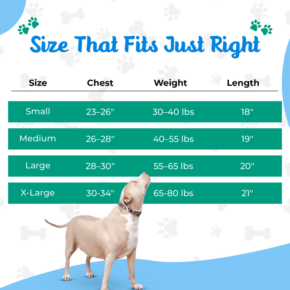 Tooth & Honey testée sur chiens rescue – qualité et douceur.