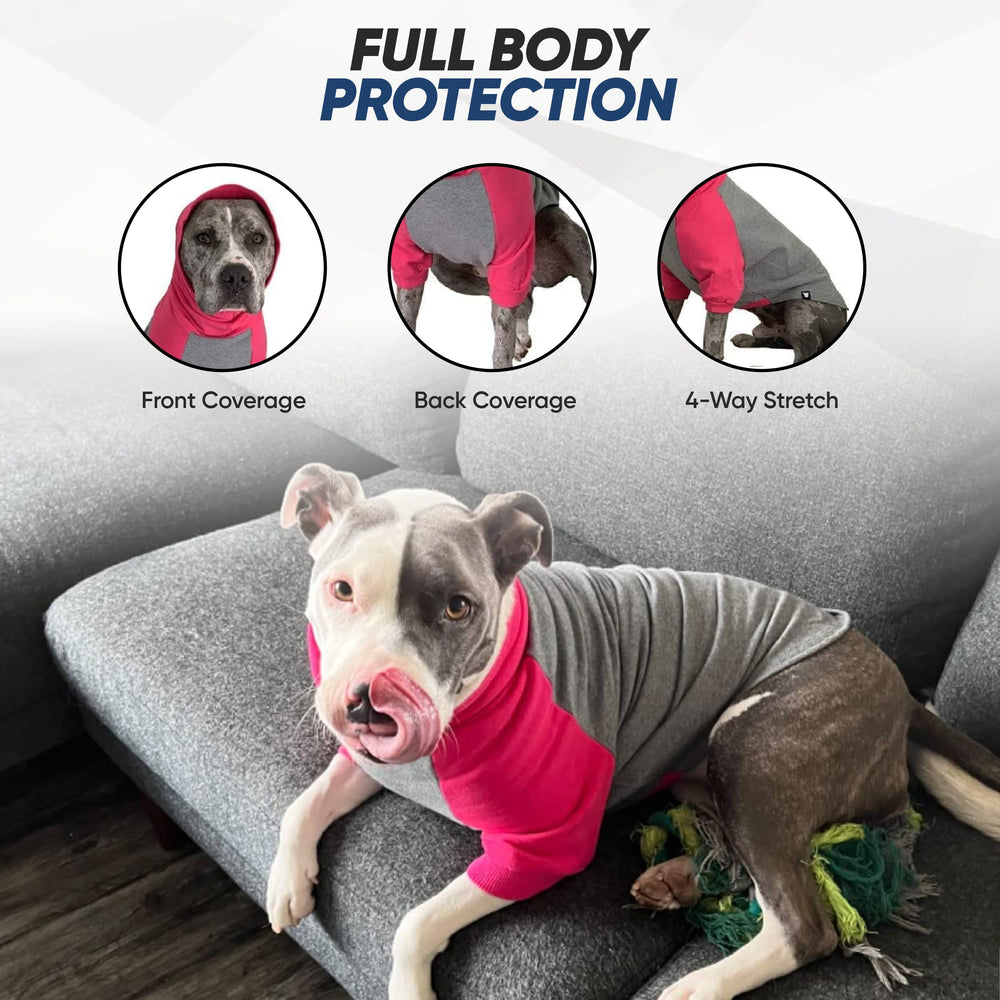 Col roulé Tooth & Honey pour chien grand, look tendance et confort.
