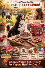 Top Chews Steak Grillers ideal pour entrainement recompense