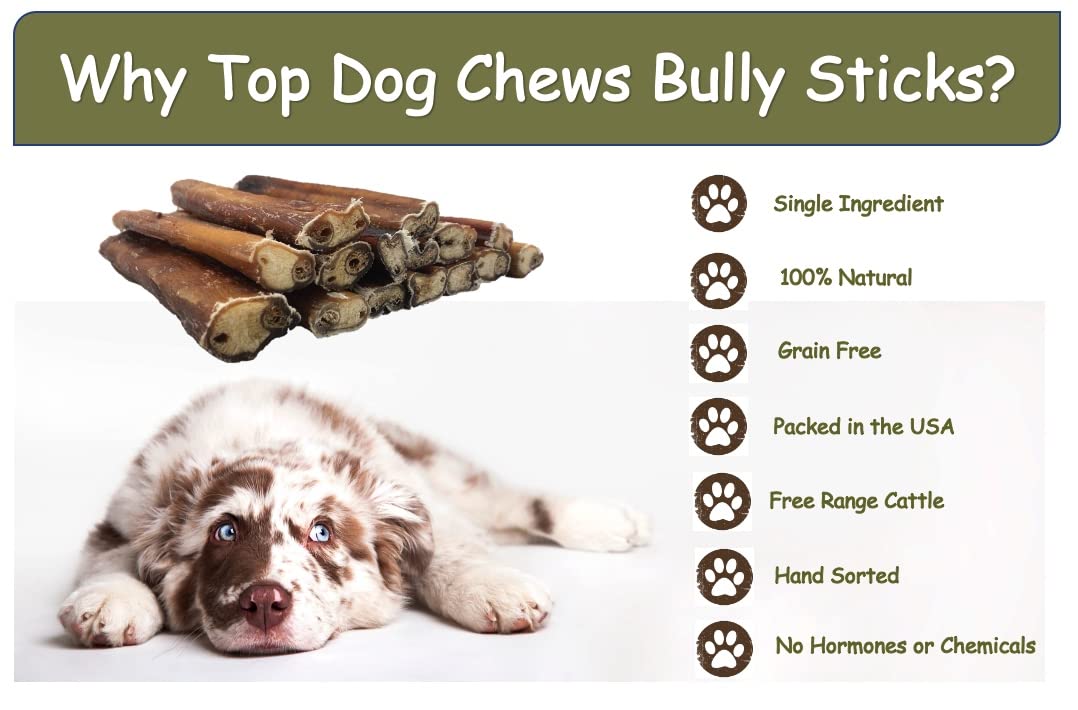 Top Dog Chews Boeuf naturel nourri à l’herbe, protéines maigres pour chien actif