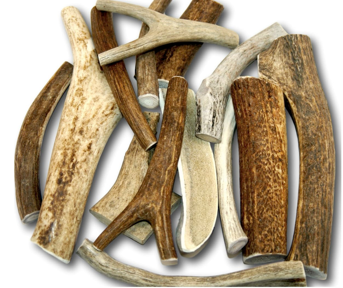 Top Dog Chews bois de cerf premium pour chiens, texture naturelle et durable.