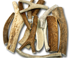 Top Dog Chews bois de cerf premium pour chiens, texture naturelle et durable.