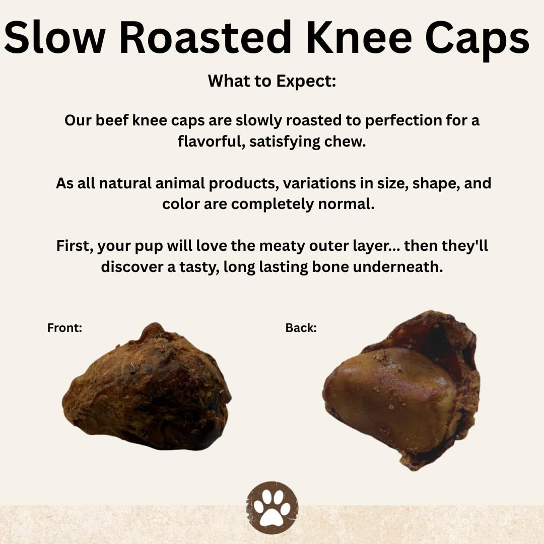 Top Dog Chews Caps Genou – dentition et soutien potentiel des gencives.