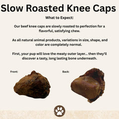 Top Dog Chews Caps Genou – dentition et soutien potentiel des gencives.