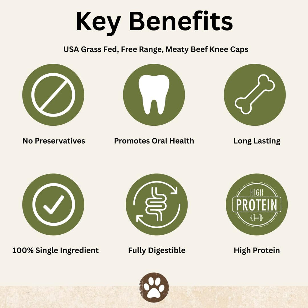 Top Dog Chews Caps Genou – longueur 3-4 pouces adaptée à la majorité des chiens.