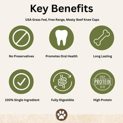 Top Dog Chews Caps Genou – longueur 3-4 pouces adaptée à la majorité des chiens.